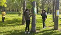 Дръвчета "облечени" в цветна прежда оживиха Парка на Възрожденците