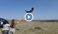 Спасен царски орел се завърна в дивата природа край Сливен