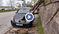 Шофьор в Русе оцеля по чудо след падане на дърво върху колата му