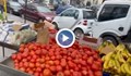Българската вода създава евтини домати, но в Гърция