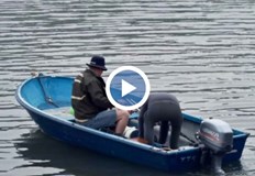 Спасената риба от видовете шаран сом и щука беше върната