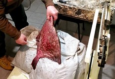 ИАРА превърна конфискацията в дарение за социалните патронажи в Каварна