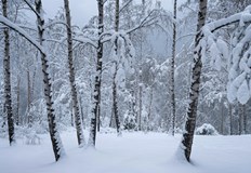 Метеоролозите предупреждават за силен вятър и ниски температуриВремето в България