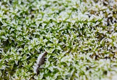 Важно предупреждение за земеделцитеСилни валежи и гръмотевични бури се очакват