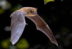 Презентацията ще се проведе в русенския ЕкомузейРусенският Екомузей с аквариум