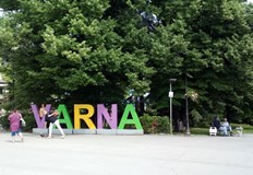 Заместник кмет Имаме сигнали за инциденти с пешеходци включително