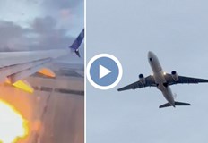 Сблъсъците с дивите животни са сериозен риск за авиациятаСедмица преди