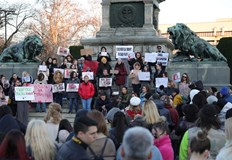 Правителството предлага затвор при заснемане на жестокост към животни и