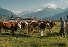 Яне Янев разобличава измамата с българското месо в търговските веригиБългарското