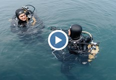 Доброволци от цялата страна се включиха в ежегодната екоакция на