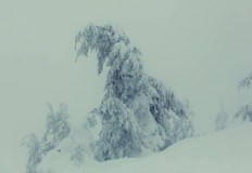 Повечето райони са обхванати от гъста облачност и мъглаНеблагоприятни метеорологични