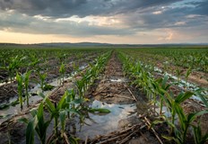 Системата за борба с градушките получава зелена светлина за активни