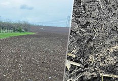 Експерти от БАИЗ препоръчват биологични методи за защита на културитеМасово