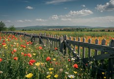 Опасност от наводнения до средата на месеца и засушаване към