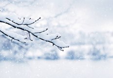 Румъния Сърбия и Гърция са в плен на снеговалежиНеобичайно студено