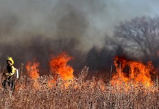 Бурен вятър разнася огъня започнала е спешна евакуация на застрашените