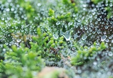 Топло време около ВеликденПроменливо време с превес на слънчевите дни