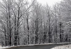 Всички пътища в областта са отворени за движение при зимни