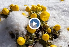 Температурни амплитуди от 5 до 30 градуса в следващите две