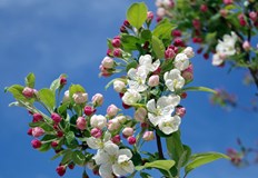 В Русе максималната температура ще е около 16 градусаВремето в