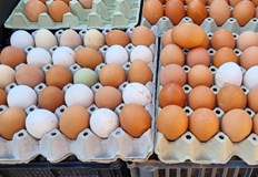 Инспектори ще следят за качеството на агнешкото месо козунаците и