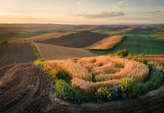 Промяната ще увеличи приходите в общинския бюджет Община Бяла предстои