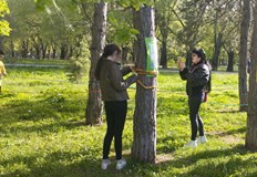 Русенци от различни възрасти се включиха в арт инсталацията Живот