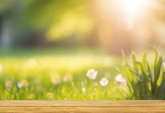 Ще духа слаб до умерен вятър Предимно слънчево и топло