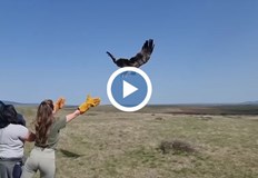 Екипът на Зелени Балкани използва експериментална методика за освобождаването за