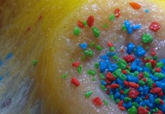 Изследователи от САЩ изнесоха данни за влиянието на пластмасовото замърсяване