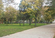 Европрограма финансира озеленяване на междублоковите пространства в РусеОбщина Русе ще