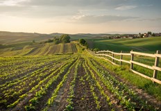 Общинският съвет се съобрази с цените на земите от държавния