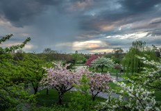 След застудяването идват пролетни температуриСлед краткотрайното застудяване и неочакваната снежна