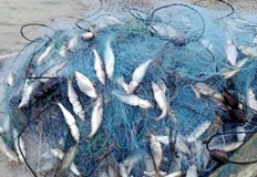 Незаконните съоръжения бяха иззети за унищожаване а рибата върната във