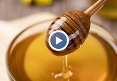 Измръзналите пчелни семейства и цъфтежи водят до нулева реколтаПролетен мед