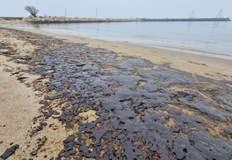 РИОСВ не открива брегови източник на замърсяванетоОбластният управител на Варна