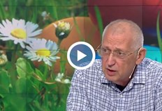 За Великден най приятно ще е времето по ЧерномориетоВ навечерието на