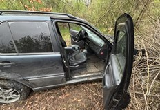 Четирима мъже от плевенското село Тодорово са задържани след съвместна