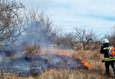 От 1 май до края на октомври се забранява паленето