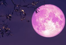 Явлението ще предложи уникална гледка в нощта на 12 срещу