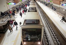 От СДВР очакват собственикът да се обади на телефон 02