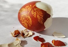 Седем подбрани апетитни рецептиСлед великденските празници често се озоваваме с