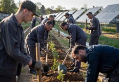 Природните паркове Кайлъка и Персина приютяват първите зелени затвориЗатворите в