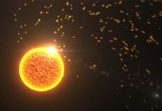 Невидим природен феномен може да застраши достоверността на машинното гласуванеИзборните