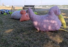 Дунавско сияние организира за трети път мащабен арт хепънингСдружение Дунавско