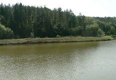 Резултатите от инспекцията ще бъдат известни до средата на месецаВ