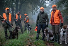 Над 60 процента от анкетираните се чувстват застрашени при разходка