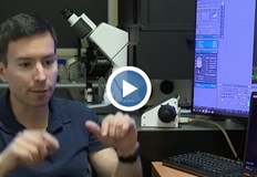 За първи път български изследователи маркираха движението на хромозомите по