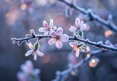 Студеният фронт носи сняг в планините и опасност от измръзване