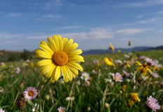 В отделни райони на страната сутрин ще се образуват сланиПрез